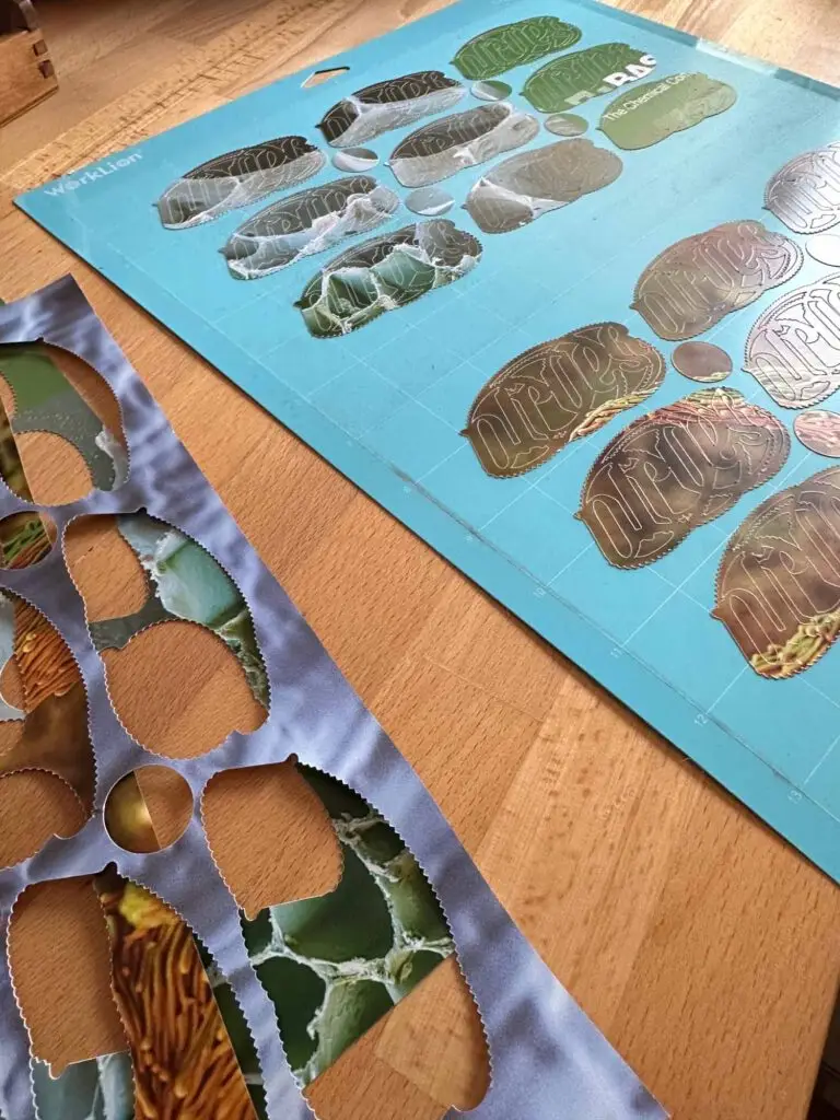SandraOliver Logo mit Plotter geschnitten