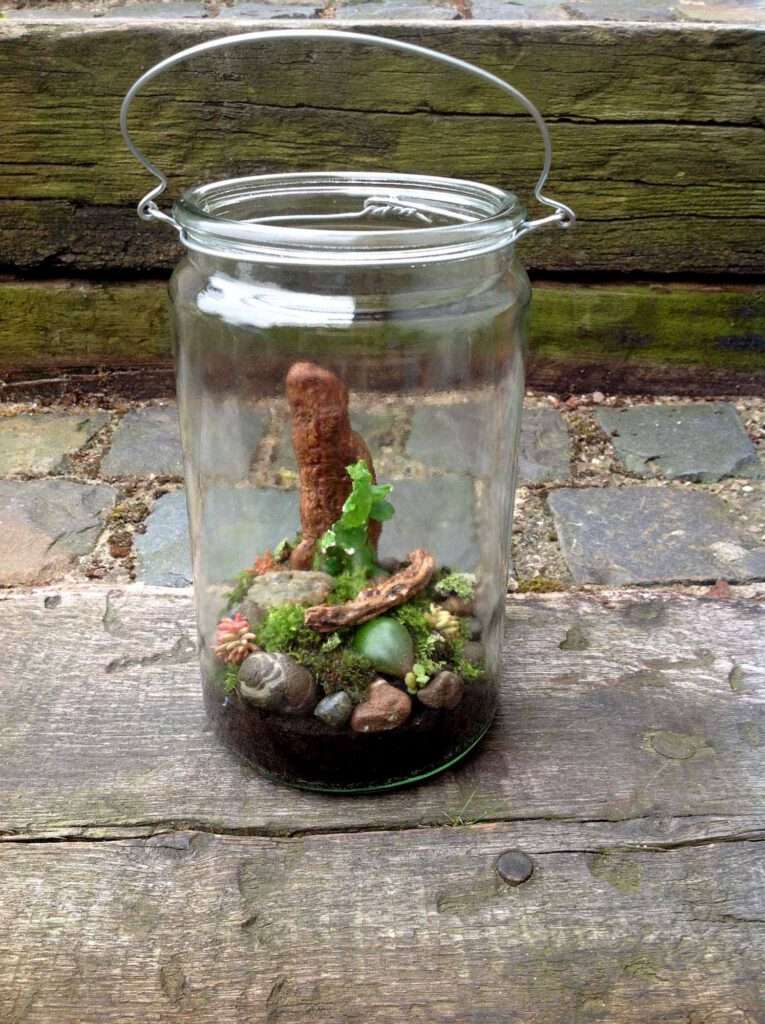 Upcycling Idee: Einmachglas als kleine Pflanzen Terrarium