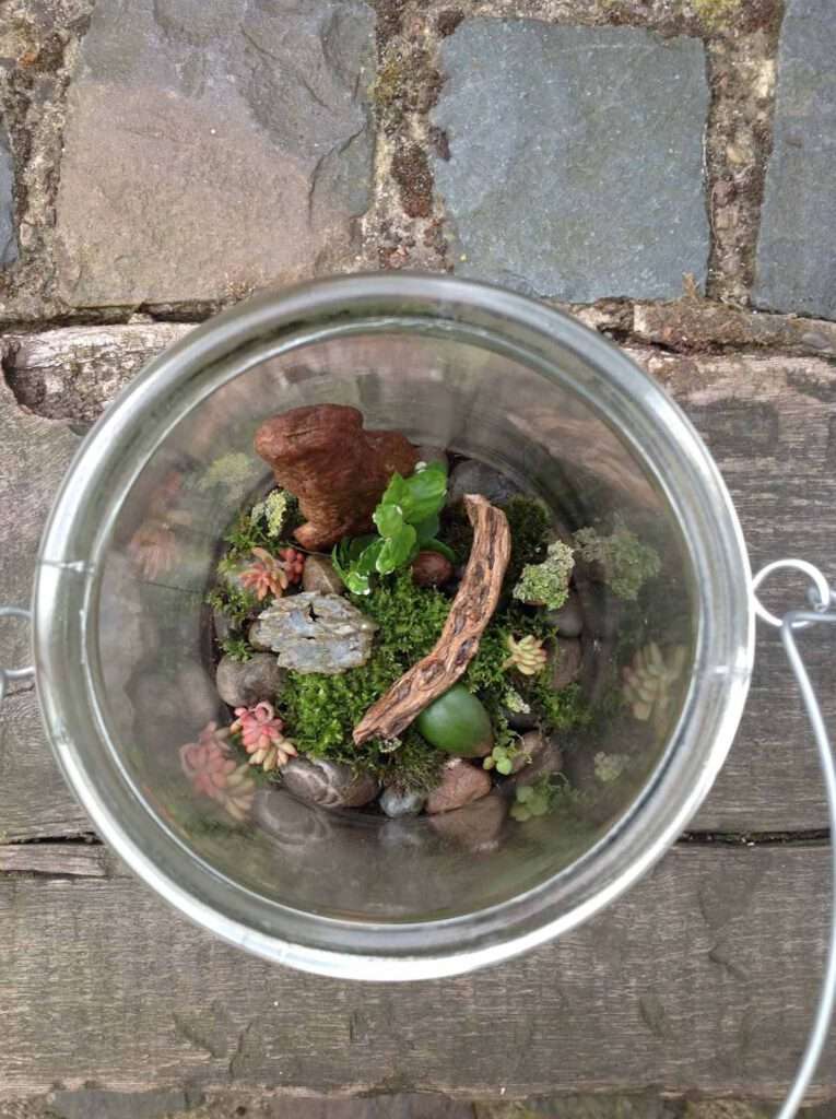 Upcycling Idee: Einmachglas als kleine Pflanzen Terrarium