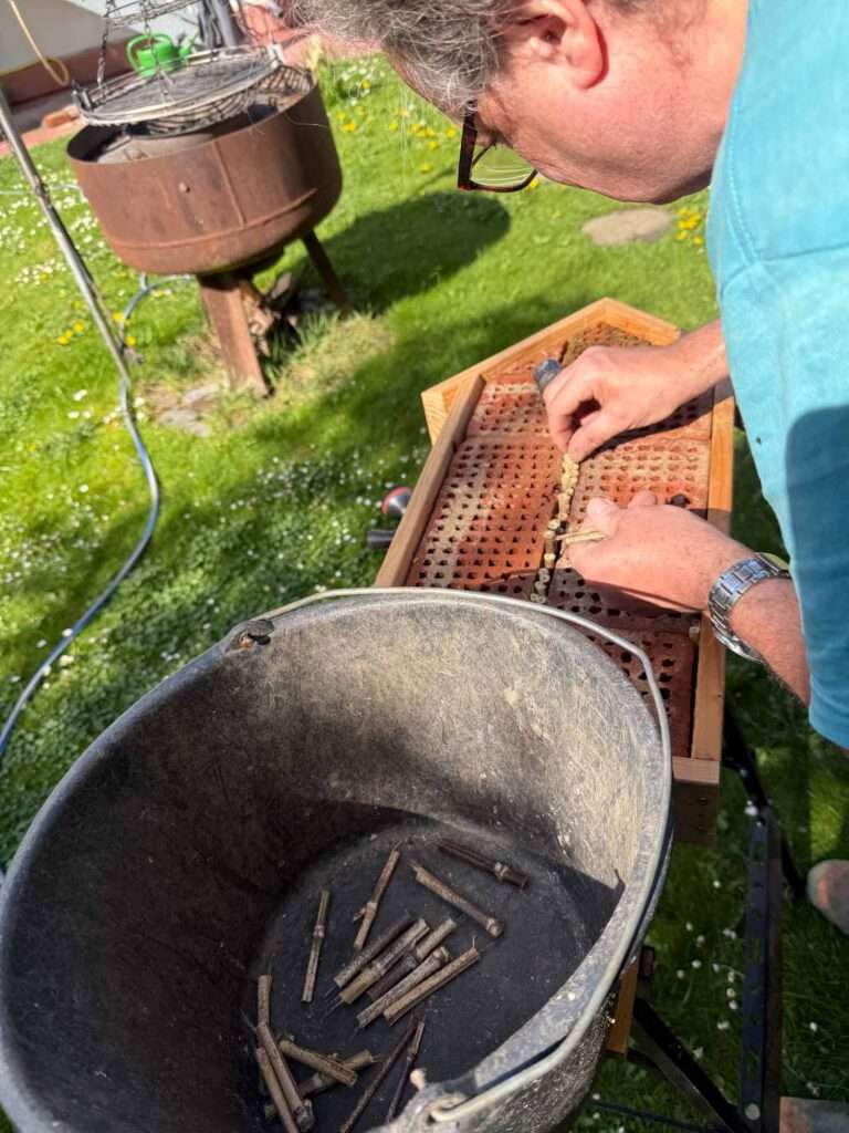 Insekthotel herstellung
