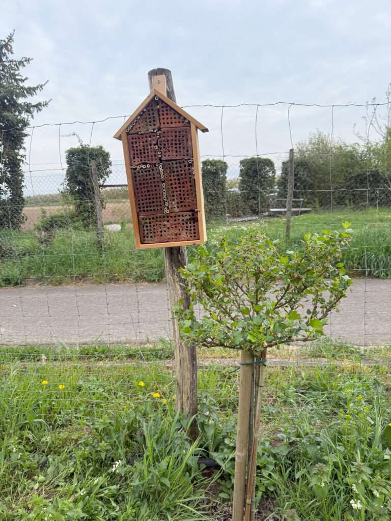 Insekthotel aus vorhandenen Materialien
