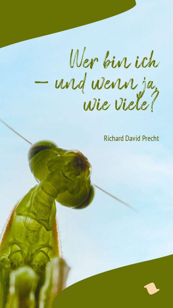 Wer bin ich – und wenn ja, wie viele? — Richard David Precht