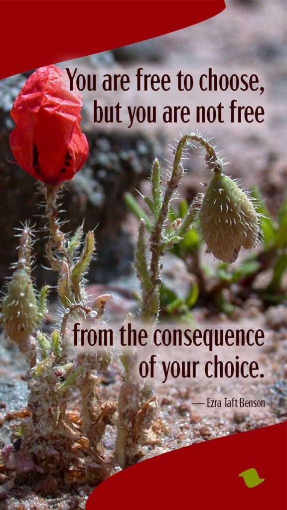 You are free to choose, but you are not free from the consequence of your choice. — Ezra Taft Benson