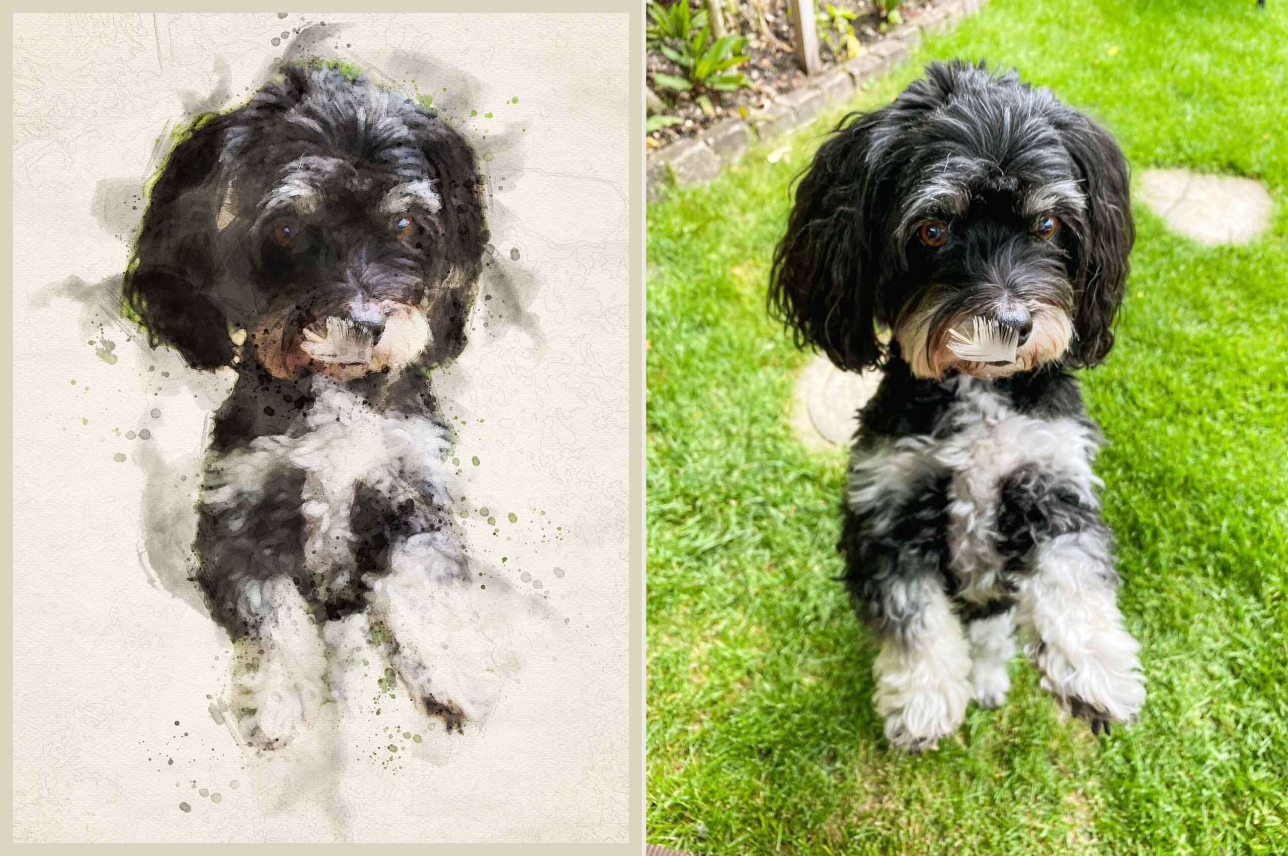 Nacher/Vorher Digitale Aquarellbild von einem Hund