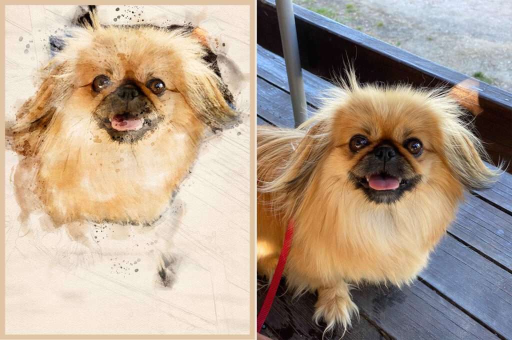 Nacher/Vorher Digitale Aquarellbild von einem Hund