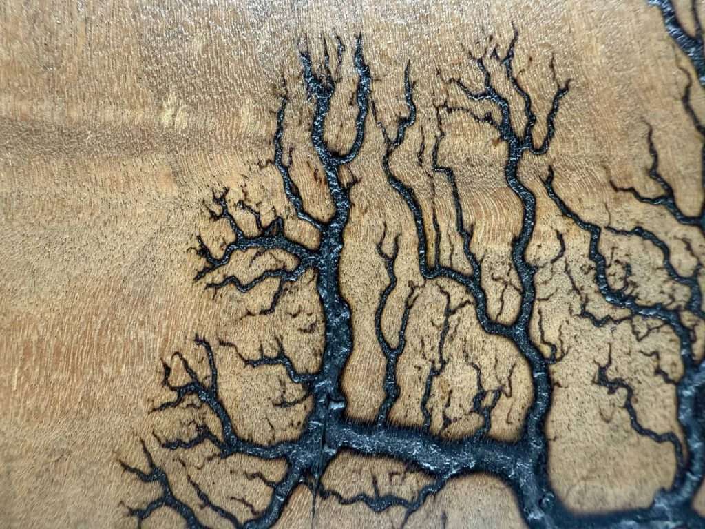 Muster von Lichtenberg Figuren