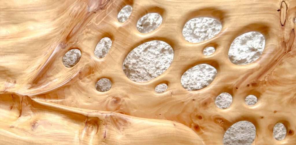 Kreative Holzbearbeitung mit Zuckerhutfichte