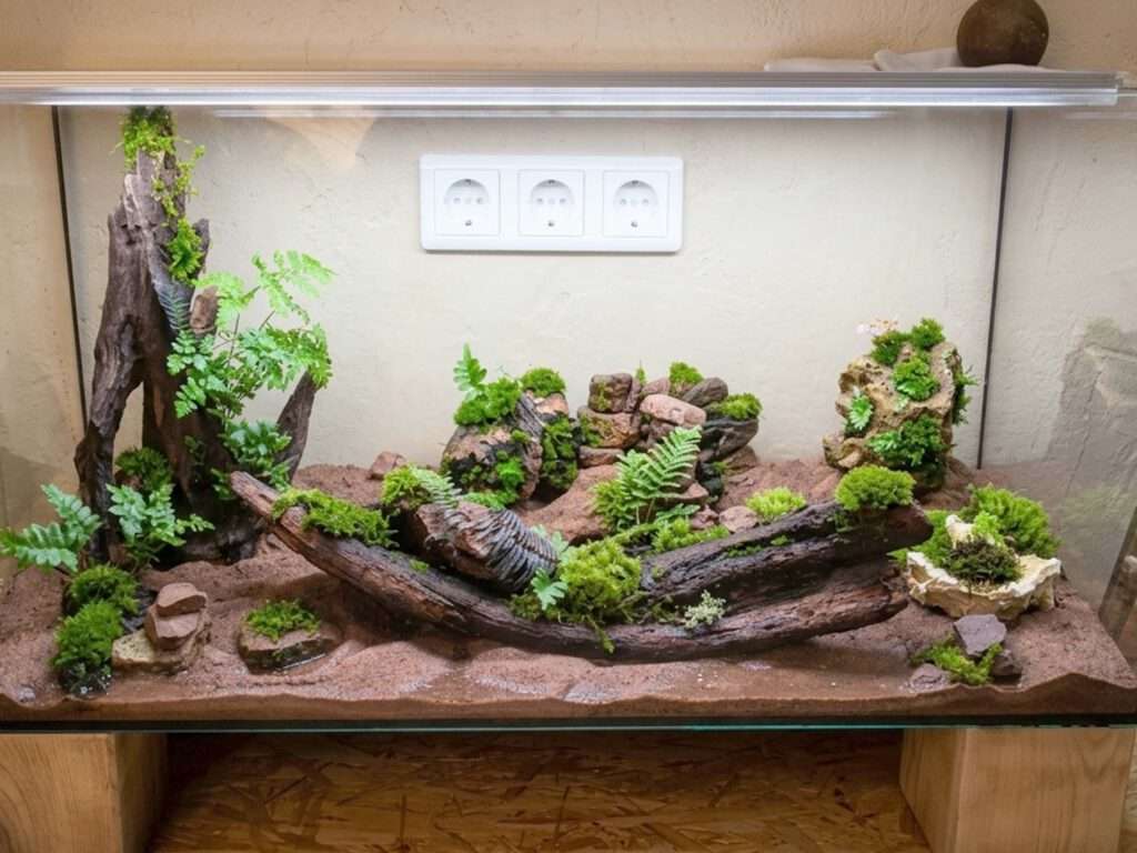 Vom alten Aquarium zum lebendigen Kunstwerk.