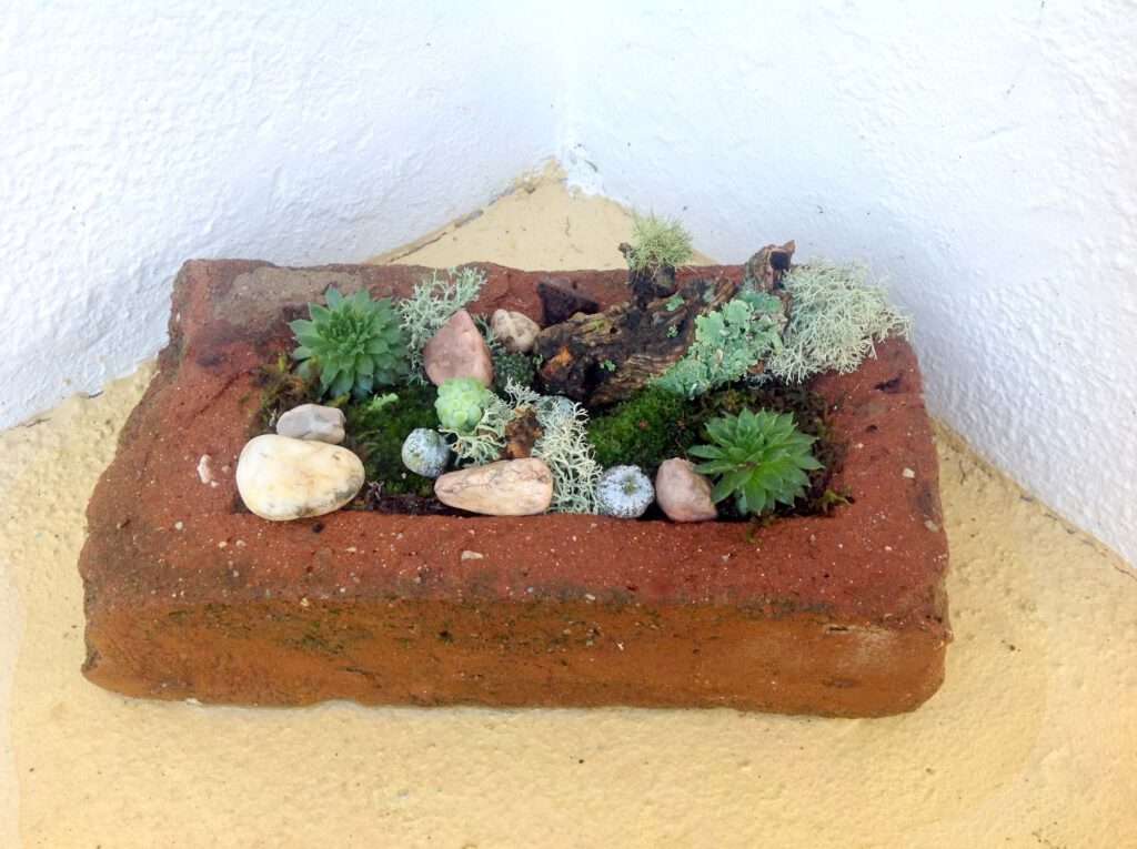 Backstein wird ein Mini Garten