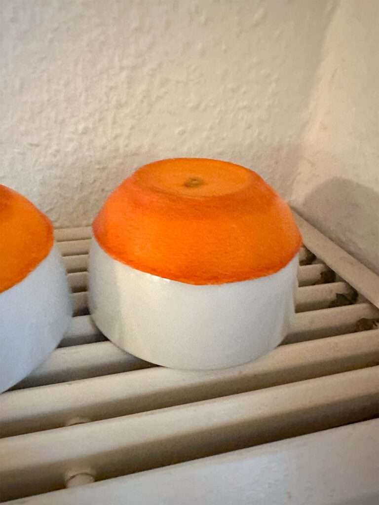 Mein Experiment mit Teelichtern aus Zitrusschalen