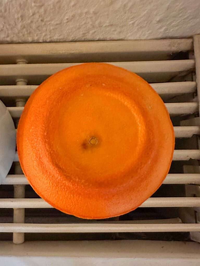 Mein Experiment mit Teelichtern aus Zitrusschalen